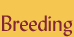 Breeding