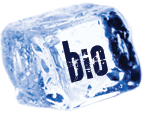 Biografie Steenkoud